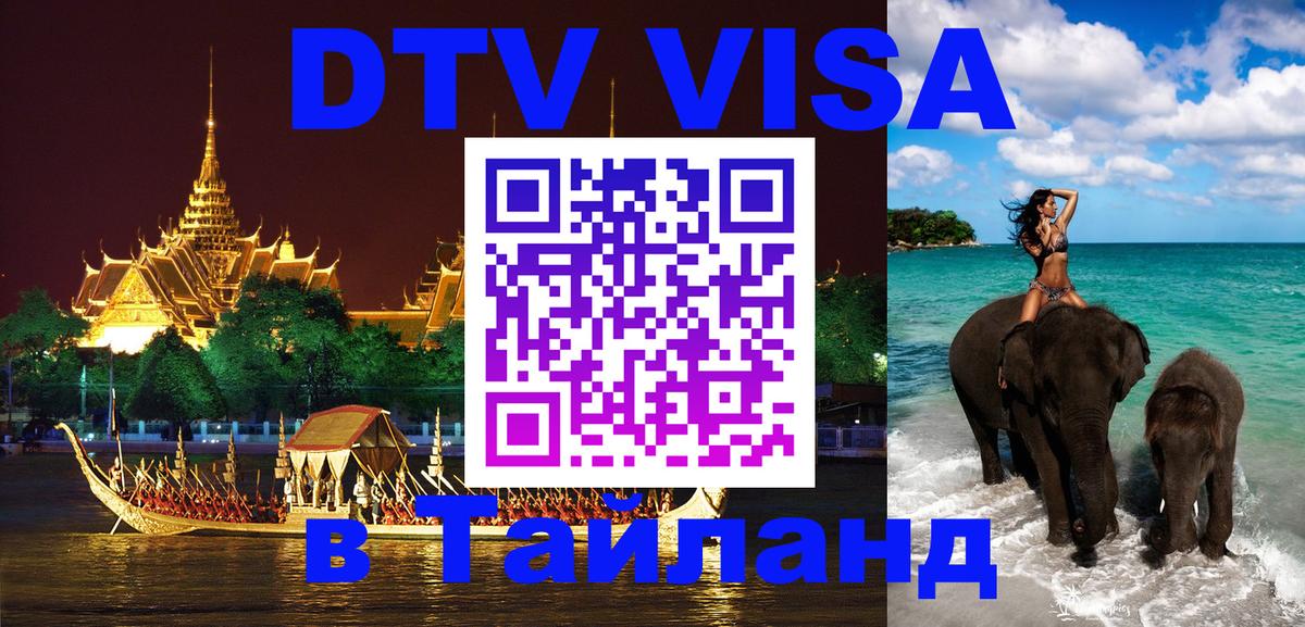 Сколько стоит DTV виза — актуальные цены, оформление даже без документов - Брянск  18.11.2025 